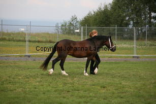 blaiddrosette_0116.jpg