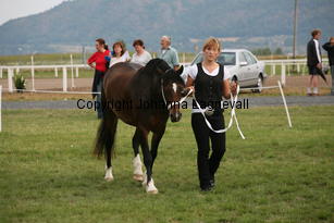blaiddrosette_0117.jpg
