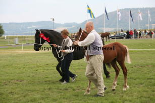 brudviksboneddiges_3066.jpg