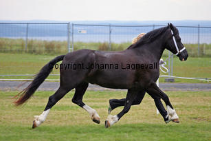 cwmtynantsanteseiddwen_3235-2.jpg