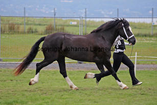 cwmtynantsanteseiddwen_3250-2.jpg