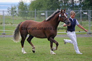 derwendennis_3248-2.jpg