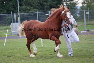 kildegaardscolumbus_3263-3.jpg