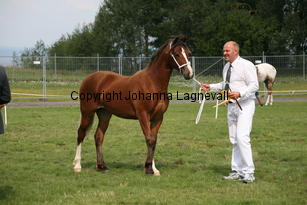 kildegaardsconstantina_0200.jpg