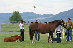 magicmajco_majnygaard_3179-2.jpg