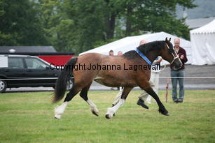 navestockduchess_3365.jpg