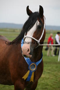 navestockduchess_3383.jpg