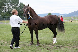 storhaugsbrenin_3176.jpg