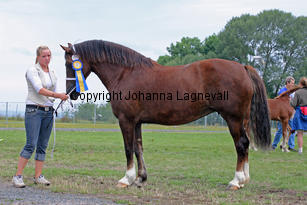 storhaugsmissbeatrice_3068-2.jpg