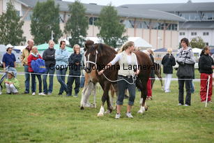 storhaugsmissbeatrice_3338.jpg