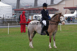burhultssandy_kathrine_3486-2.jpg