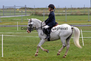 laerydsdandy_alma_3349-2.jpg