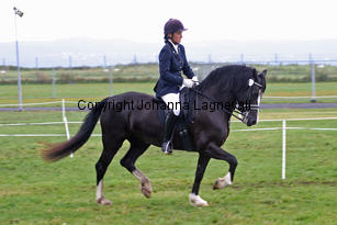 cwmtynantsanteseiddwen_malin_3453-2.jpg