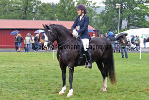 cwmtynantsanteseiddwen_malin_3461-4.jpg