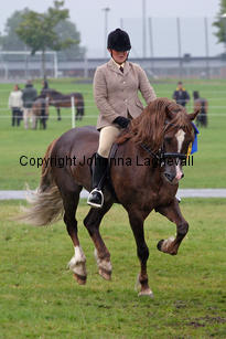 derwenmrt_malin_3490-3.jpg