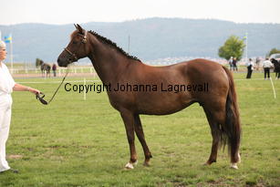 deedee_0059.jpg