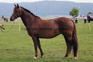 deedee_0061-2.jpg