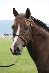 deedee_0064.jpg