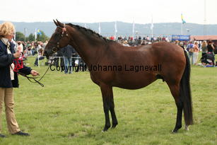 mirabelle_0077.jpg