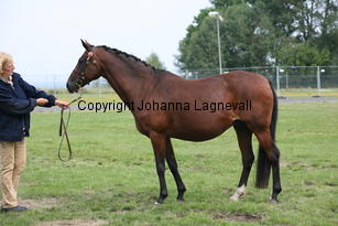 mirabelle_0078.jpg