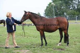 mirabelle_0080.jpg