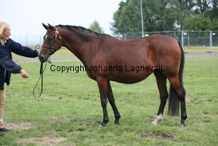 mirabelle_0081.jpg