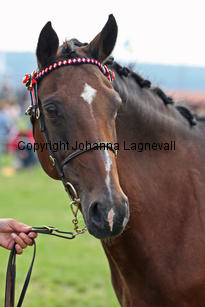 mirabelle_0084-2.jpg