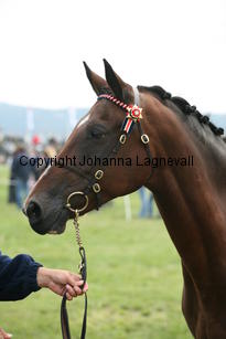 mirabelle_0085.jpg