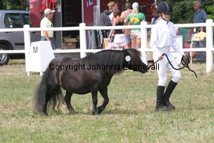 bjorklundasnypon-meja_1315.jpg