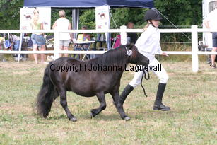 bjorklundasnypon-meja_1316.jpg
