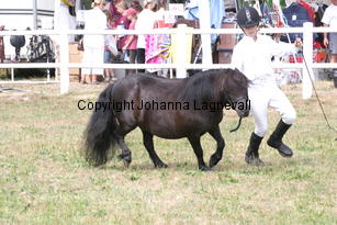 bjorklundasnypon-meja_1317.jpg