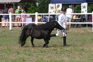 bjorklundasnypon-meja_1318.jpg