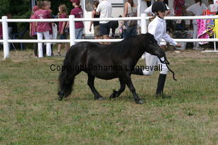 bjorklundasnypon-meja_1319.jpg
