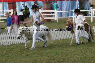 emilyofcatchpool-johanna_1638.jpg