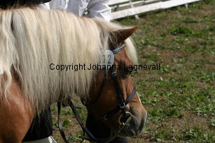 klockarensjane_0980.jpg