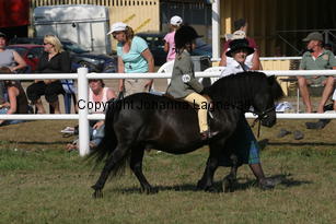rosbestmanoftransy-sophie_2395.jpg