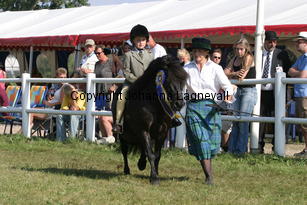 rosbestmanoftransy-sophie_2399.jpg