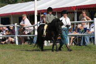 rosbestmanoftransy-sophie_2435.jpg