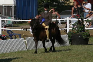 boarswoodsmokeyjoe-emily_2410.jpg
