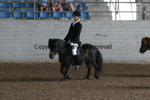 img_1163.jpg