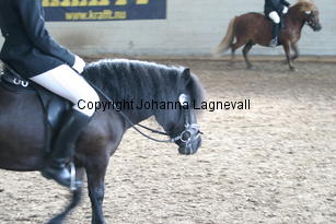 img_1174.jpg