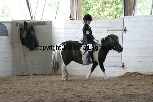 img_1272.jpg