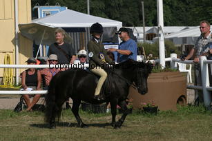 whizzkidofcrafton-fcurrell_2405.jpg