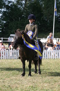 whizzkidofcrafton-fcurrell_2436.jpg