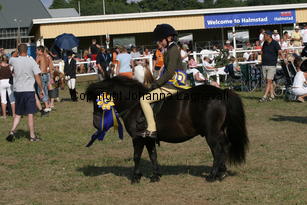 whizzkidofcrafton-fcurrell_2440.jpg