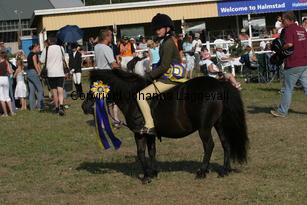 whizzkidofcrafton-fcurrell_2441.jpg