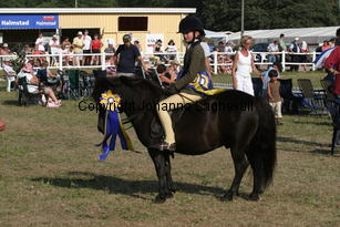 whizzkidofcrafton-fcurrell_2442.jpg