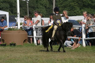 whizzkidofcraton-fcurrell_2457.jpg