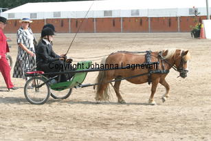 ada-joakim_1509.jpg
