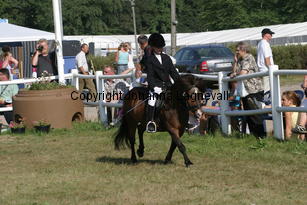 biggles-stephanie_2417.jpg